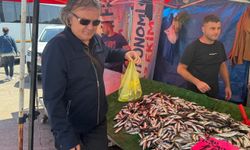 Zonguldak’ta av yasağına rağmen tezgahlar balıksız kalmadı