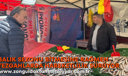 Balık sezonu bitmesine rağmen tezgahlarda hareketlilik sürüyor