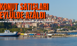 Zonguldak’ta konut satışları eylülde azaldı