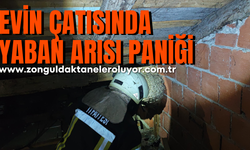 Safranbolu’da evin çatısında yaban arısı paniği
