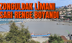 Zonguldak Limanı sarı renge boyandı