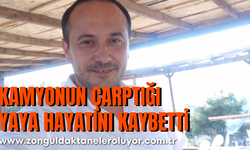 Kamyonun çarptığı yaya hayatını kaybetti