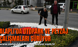 ALAPLI’DA OTOPARK VE PEYZAJ ÇALIŞMALARI SÜRÜYOR