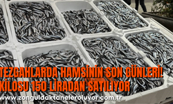Tezgahlarda hamsinin son günleri: Kilosu 150 liradan satılıyor