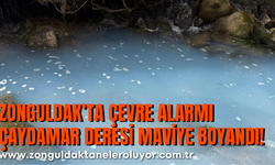 Zonguldak’ta Çevre Alarmı  Çaydamar Deresi Maviye Boyandı!