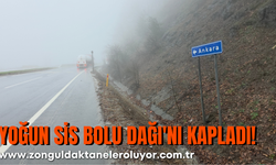 Yoğun Sis Bolu Dağı'nı Kapladı