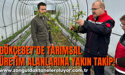 Gökçebey’de Tarımsal Üretim Alanlarına Yakın Takip!