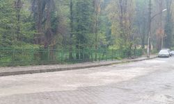 Zonguldak'ta sağanak yağışla birlikte göle döndü