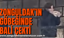 Zonguldak’ın göbeğinde bali çekti
