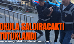 Ereğli'de okullarda eylem iddiası soruşturmasında şahıs tutuklandı