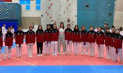 Tekvando İl Şampiyonası'nda İlkadım rüzgarı