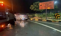 Alaplı Akçakoca yolunda kaza;5 yaralı