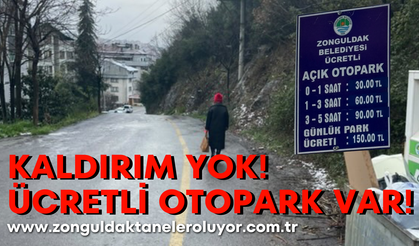 Kaldırım yok, paralı otopark var