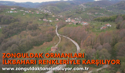 Zonguldak ormanları ilkbaharı renkleriyle karşılıyor