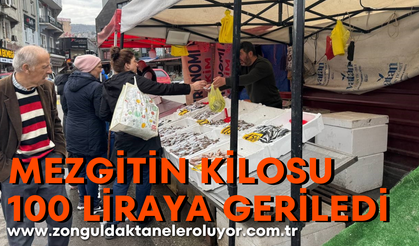 Zonguldak’ta mezgitin kilosu 100 liraya geriledi