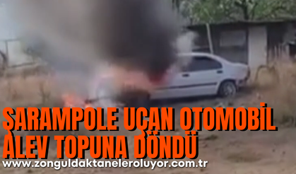 Şarampole uçan otomobil alev topuna döndü