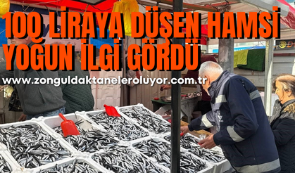 Tezgahta 100 liraya düşen hamsi yoğun ilgi gördü