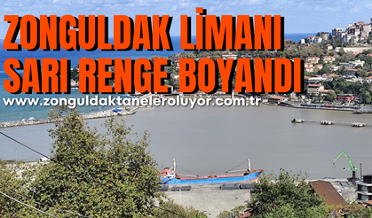 Zonguldak Limanı sarı renge boyandı