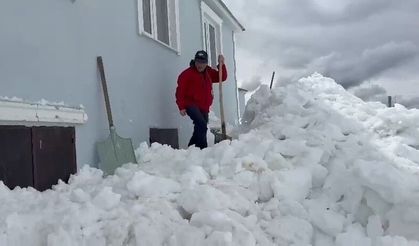 Gümüşhane'de akılalmaz olay: Ayılar bu kez kapıdan değil pencereden girdi