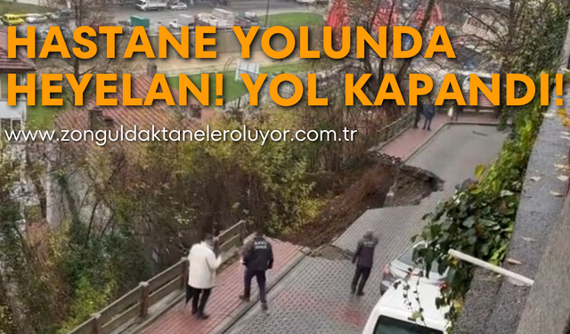 Hastane yolunda heyelan! Yol kapandı!