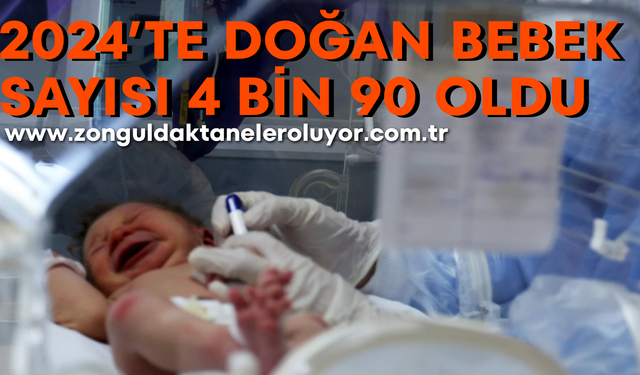 Zonguldak’ta doğurganlık hızı azalıyor; 2024’te doğan bebek sayısı 4 bin 90 oldu