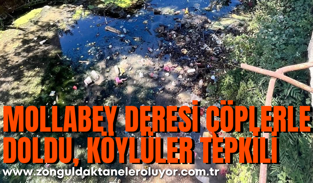 Mollabey Deresi çöplerle doldu, köylüler tepkili