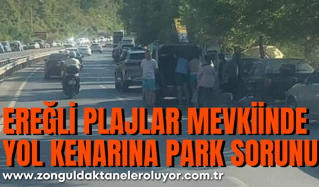 Kdz Ereğli plajlar mevkiinde kara yoluna araçlarını park ettiler