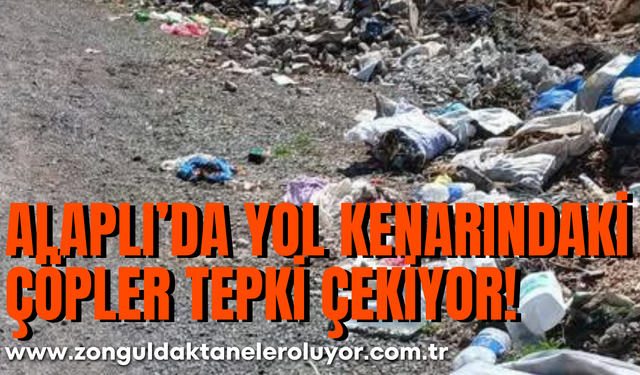 Zonguldak’ta ormanlık alanda çıkan yangın kısa sürede söndürüldü