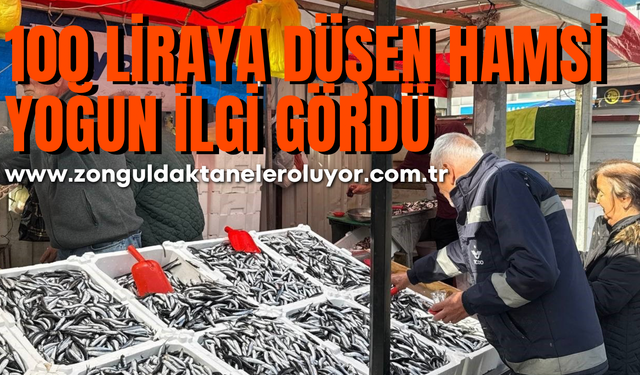 Tezgahta 100 liraya düşen hamsi yoğun ilgi gördü