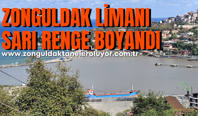 Zonguldak Limanı sarı renge boyandı