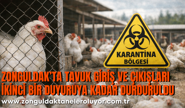 ZONGULDAK'TA  TAVUK GİRİŞ VE ÇIKIŞLARI  İKİNCİ BİR DUYURUYA KADAR DURDURULDU