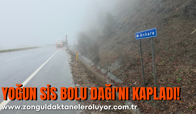 Yoğun Sis Bolu Dağı'nı Kapladı