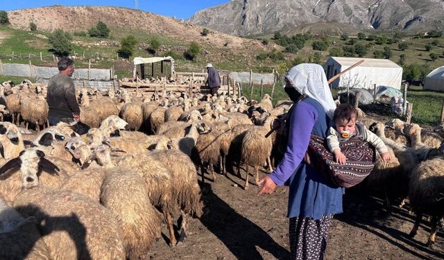 Destek bekleyen üreticilere bakanlıktan dolandırıcılık uyarısı