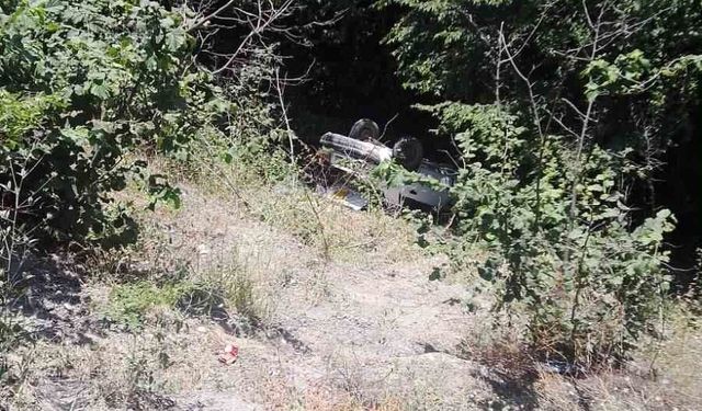 Ormanlık alana uçan otomobildeki 3 kişi yaralandı
