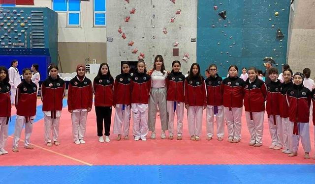 Tekvando İl Şampiyonası'nda İlkadım rüzgarı