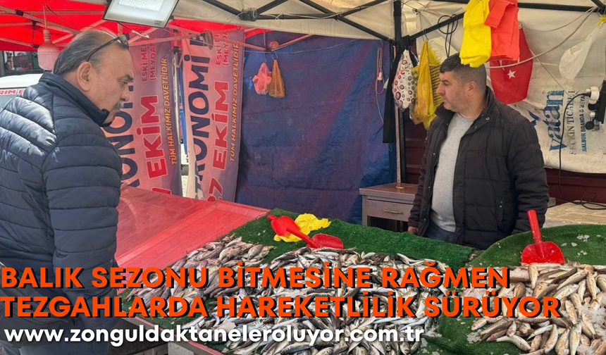 Balık sezonu bitmesine rağmen tezgahlarda hareketlilik sürüyor