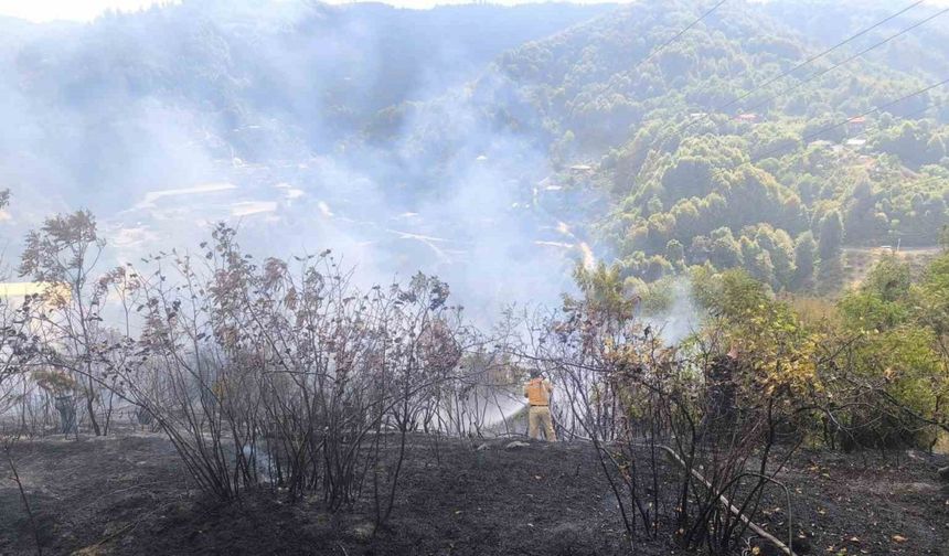 Zonguldak’ta 2 dekarlık alanda örtü yangını