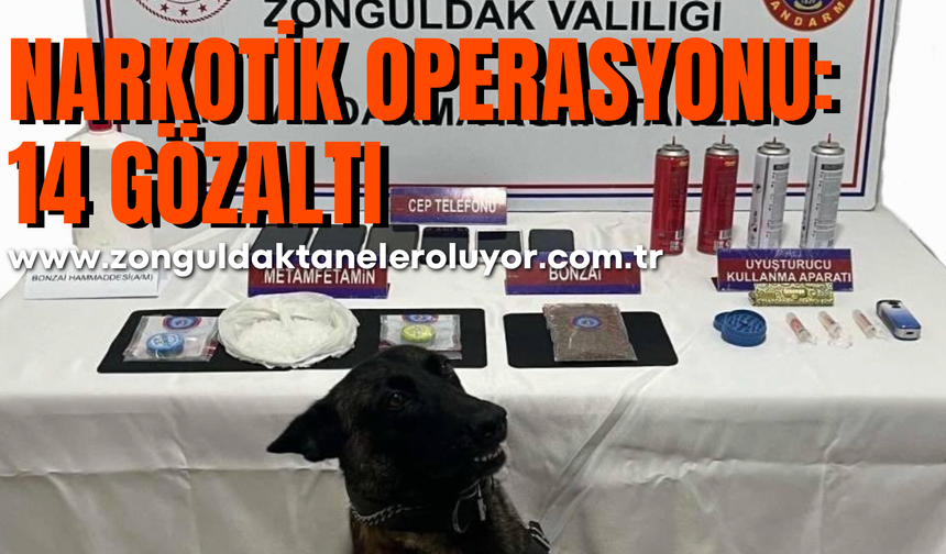 Zonguldak’ta jandarmadan narkotik operasyonu: 14 gözaltı