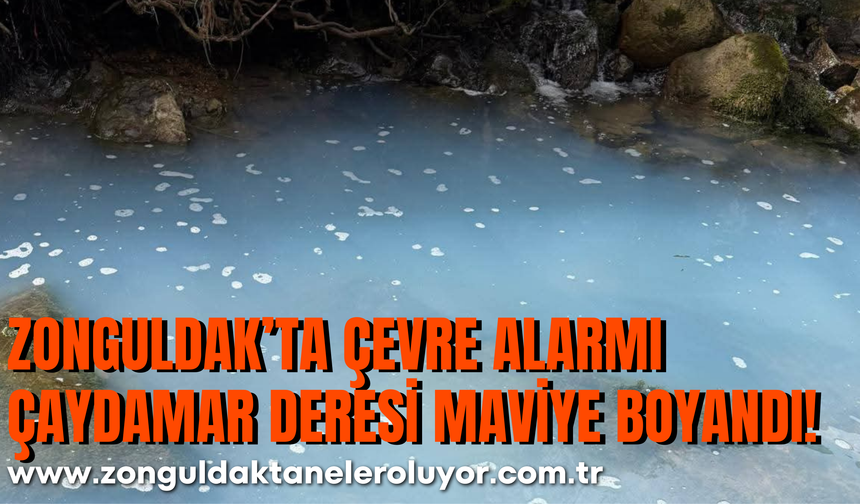 Zonguldak’ta Çevre Alarmı  Çaydamar Deresi Maviye Boyandı!