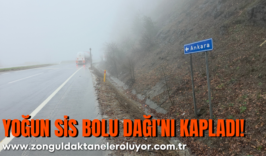 Yoğun Sis Bolu Dağı'nı Kapladı