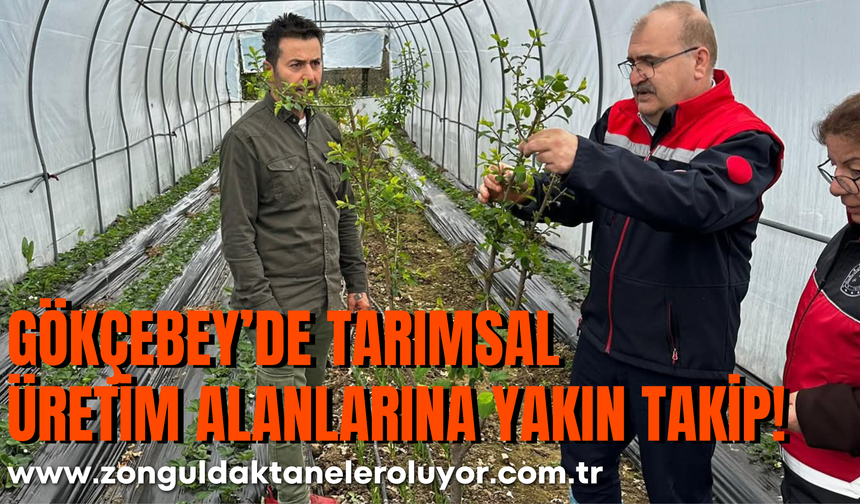 Gökçebey’de Tarımsal Üretim Alanlarına Yakın Takip!
