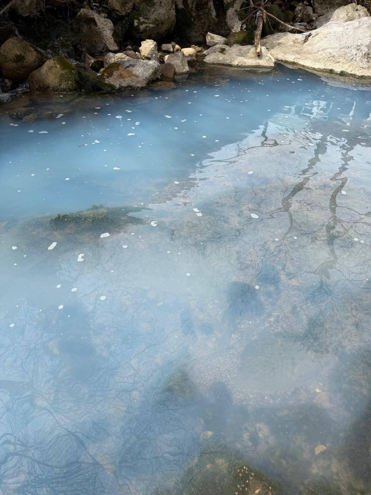 F B I M G 1774718626966