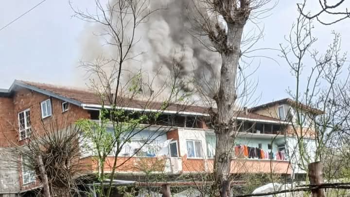 F B I M G 1774791492824