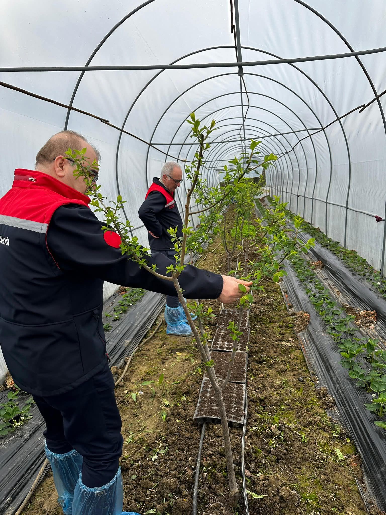 F B I M G 1774952807826