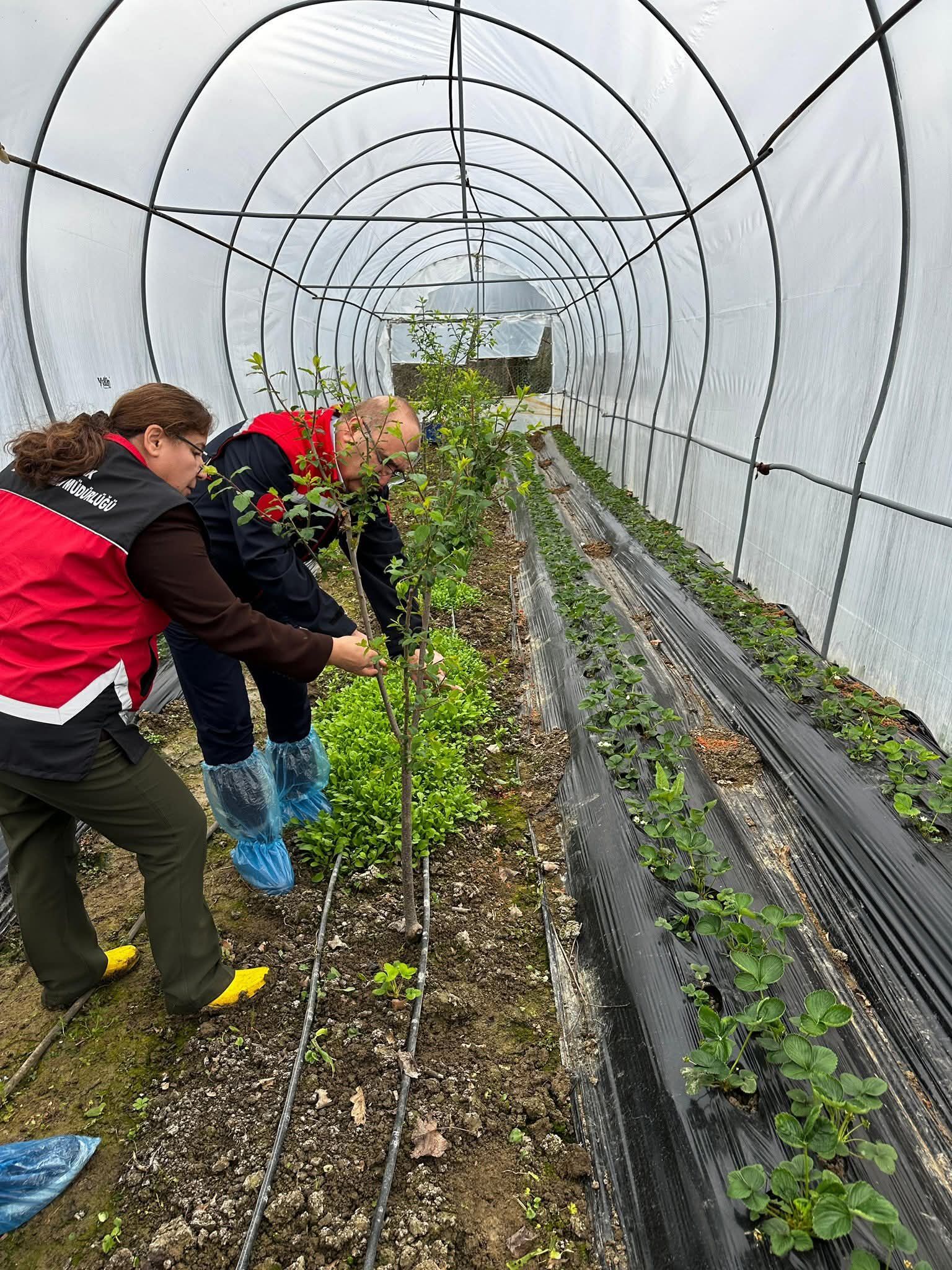 F B I M G 1774952809894